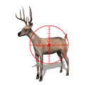 :deerhunter
